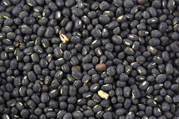 Black Matpe